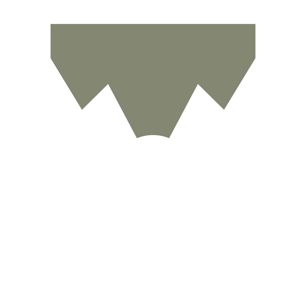 Planar Pages Logo Rise