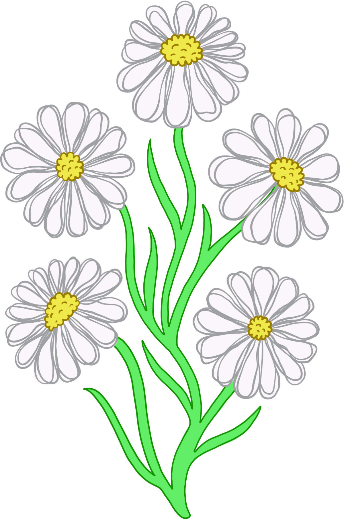 Chamomile Art by Swapna